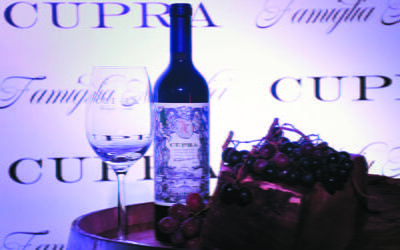 Mucho más que un vino