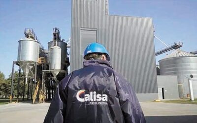 Industria Avícola sustentable