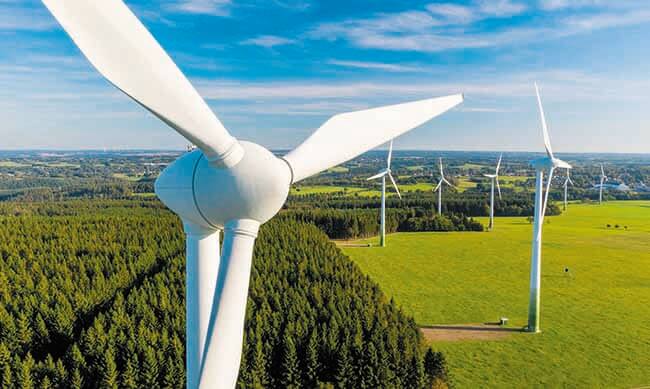 Iniciativa sustentable