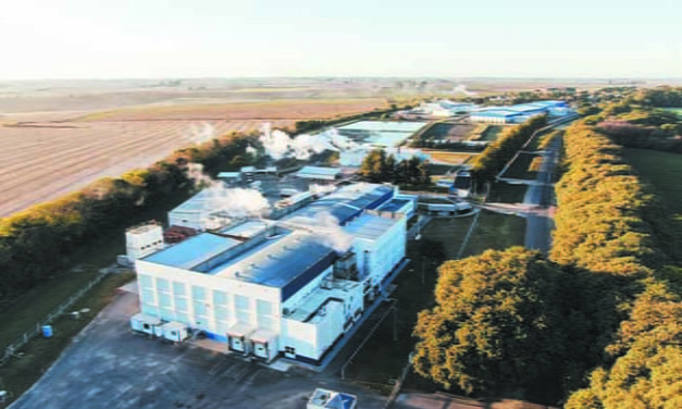 Un panorama positivo para la industria avícola