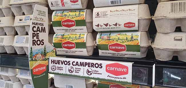 <strong>Huevos de gallina libres de jaula</strong>