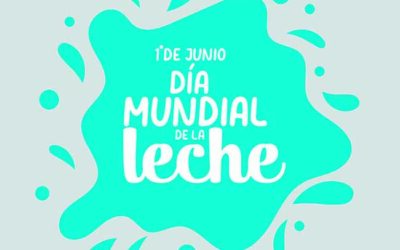 Acción solidaria