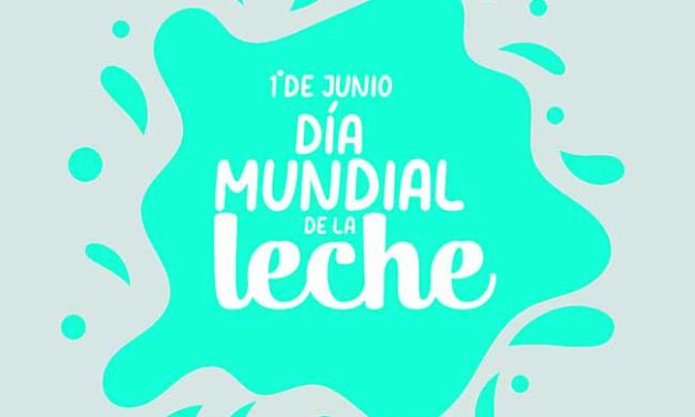 Acción solidaria