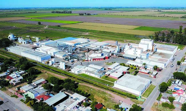 Manfrey: 80 años junto a la comunidad de Freyre