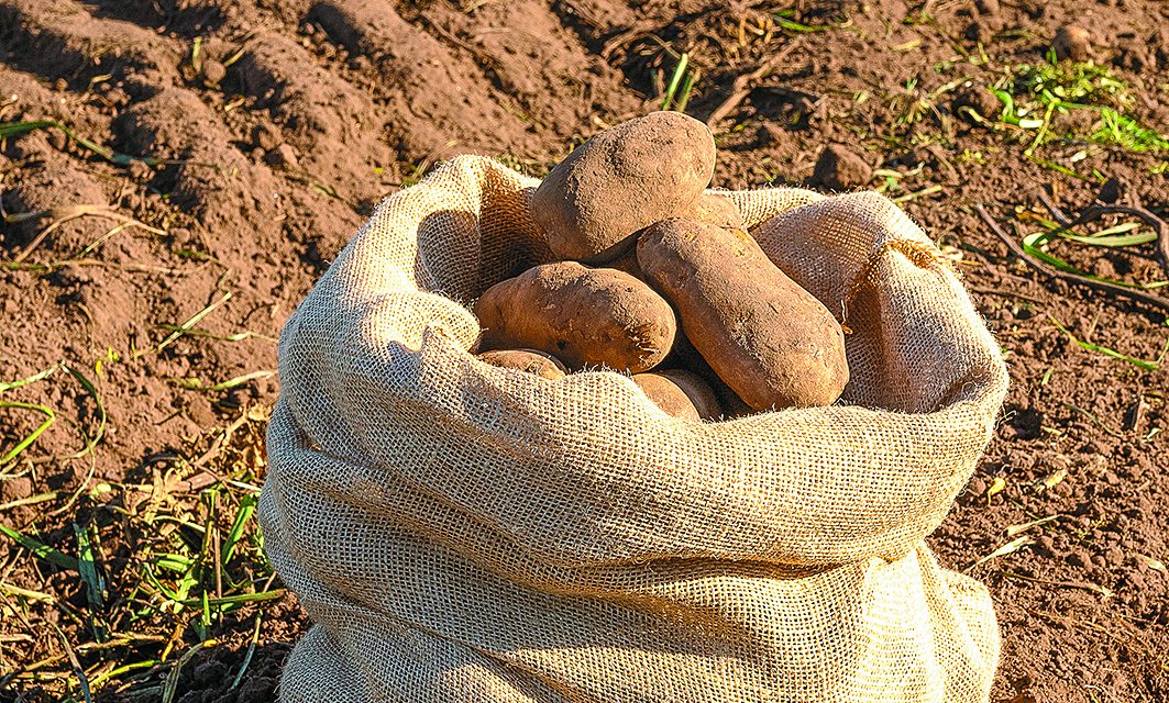 Prácticas sustentables