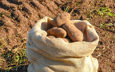 Prácticas sustentables