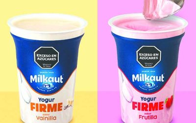 Nuevo yogur Firme