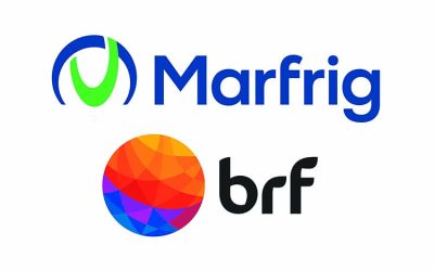 Nace MBRF