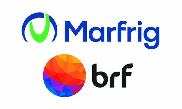 Nace MBRF