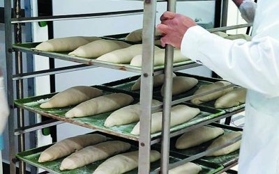 Seguridad e inocuidad alimentaria