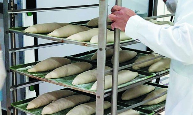 Seguridad e inocuidad alimentaria