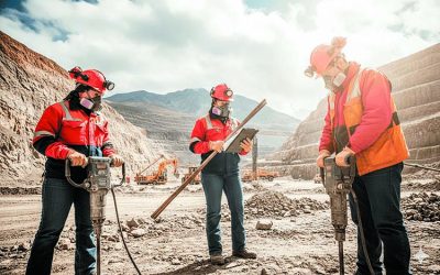 Un sector en consolidación