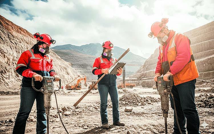 Un sector en consolidación