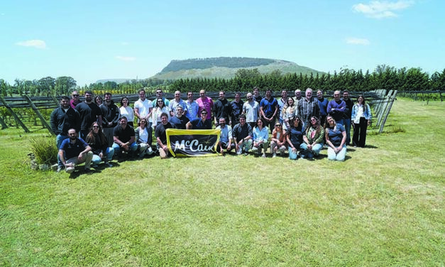 Agricultura regenerativa
