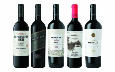Día Internacional del Cabernet Sauvignon