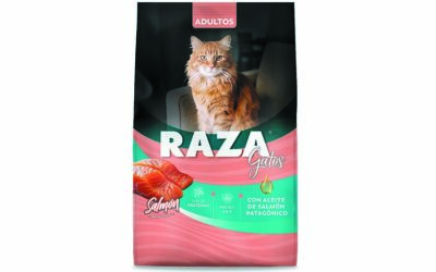 Raza Salmón