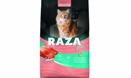 Raza Salmón