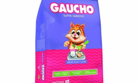 Gaucho Gatitos
