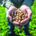 Premio a la Trayectoria Productiva
