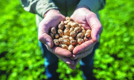 Premio a la Trayectoria Productiva