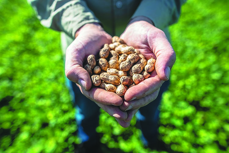 Premio a la Trayectoria Productiva